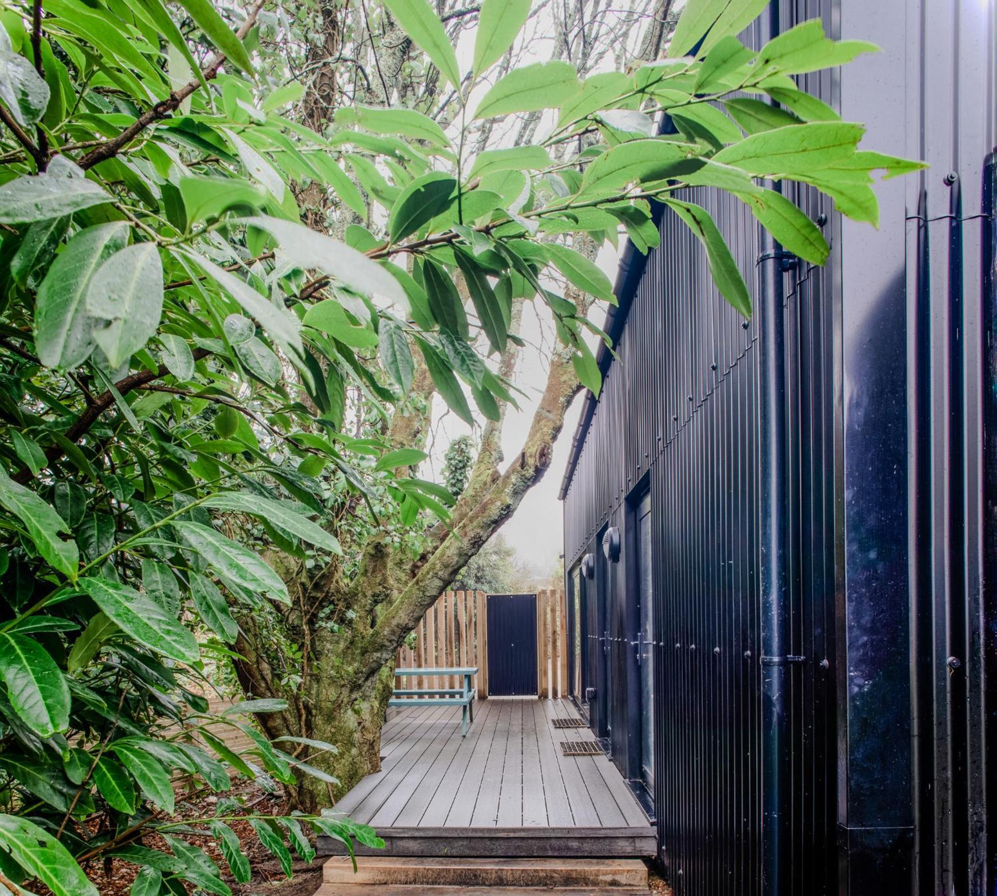 Lowen Tree House Truro Exterior photo